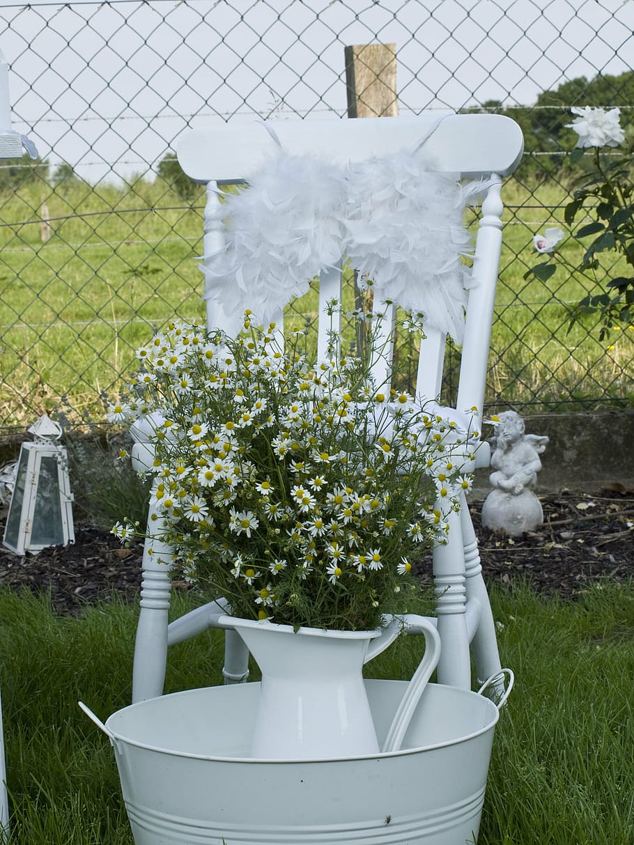 bowl, wash, water jug, chair, plant, nature, flower, flowering plant, day, grass