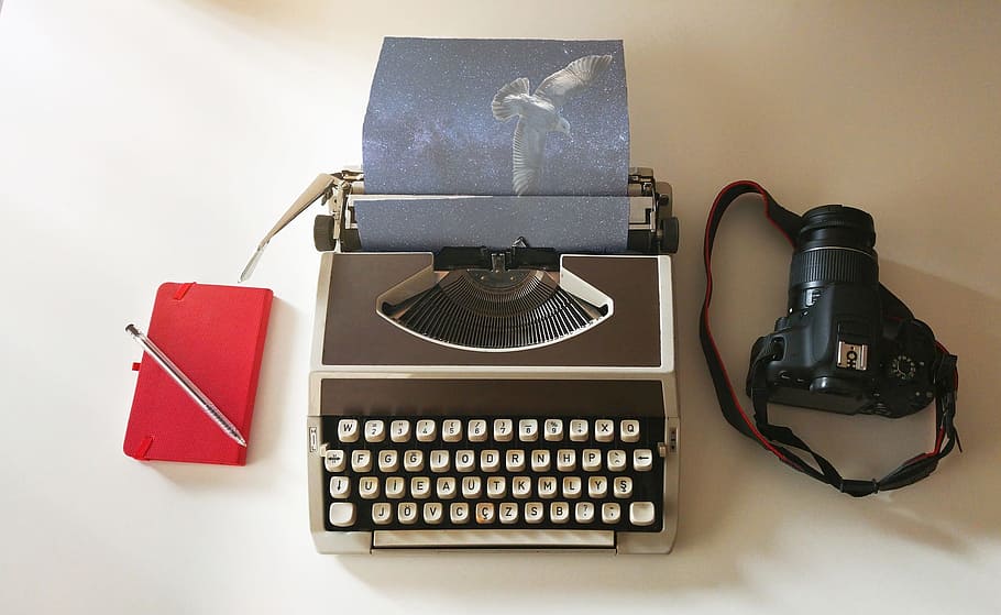 typewriter, dslr camera, imagination, bird, universe, camera, journal, creative, paper, idea