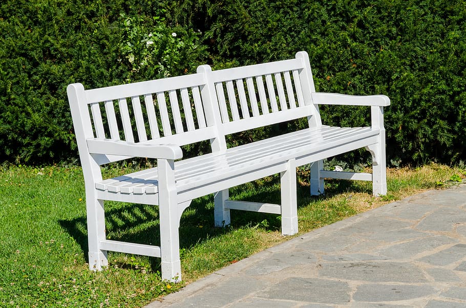 bench, park, garden, white, background, landscape, furniture, wood, outdoors, wooden