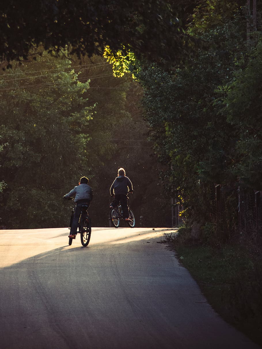 dois, meninos, andar de bicicleta, vazio, estrada, diurno, bicicletas, ciclismo, crianças, pessoas
