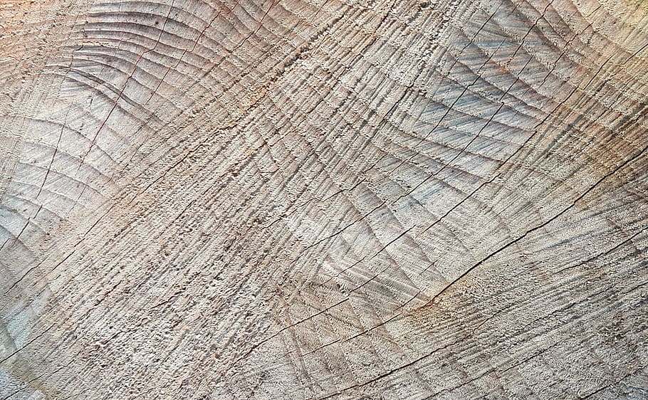 closeup, brown, ground, texture, background, wood, wood grain, structure, pattern, surface