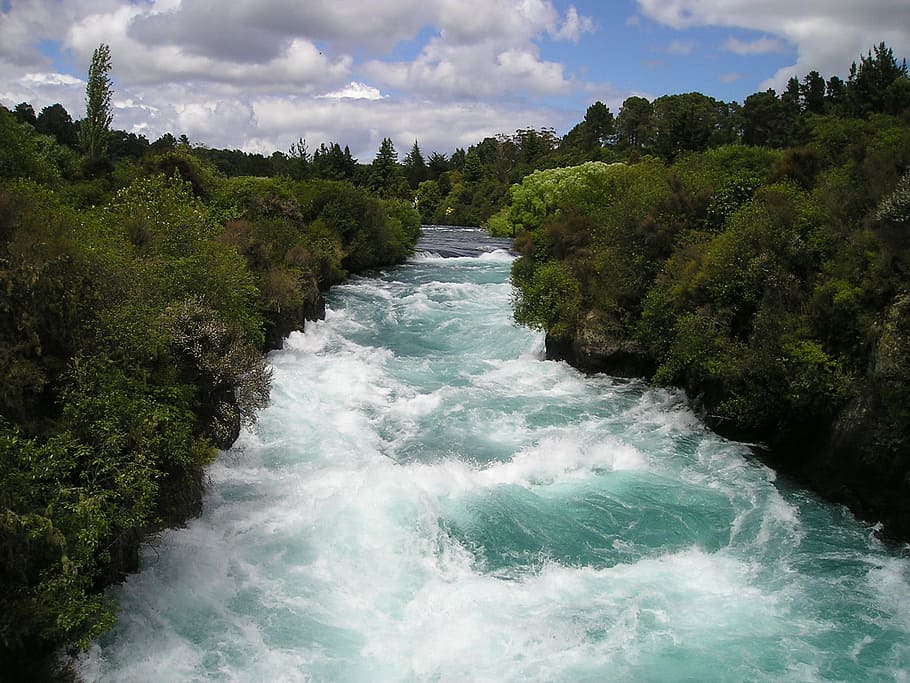 river between forest, torrent, white water, force, nature, new zealand, landscape, green, rapids, water power