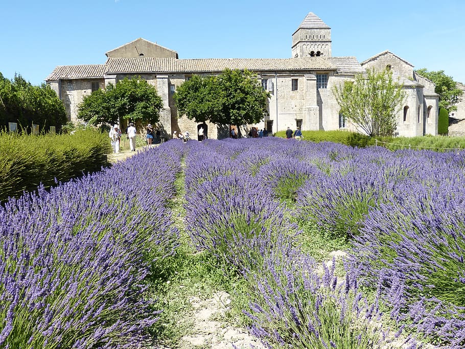 france, st remy, provence, rhône, building, historically, monastery, abbey, van gogh, lavender