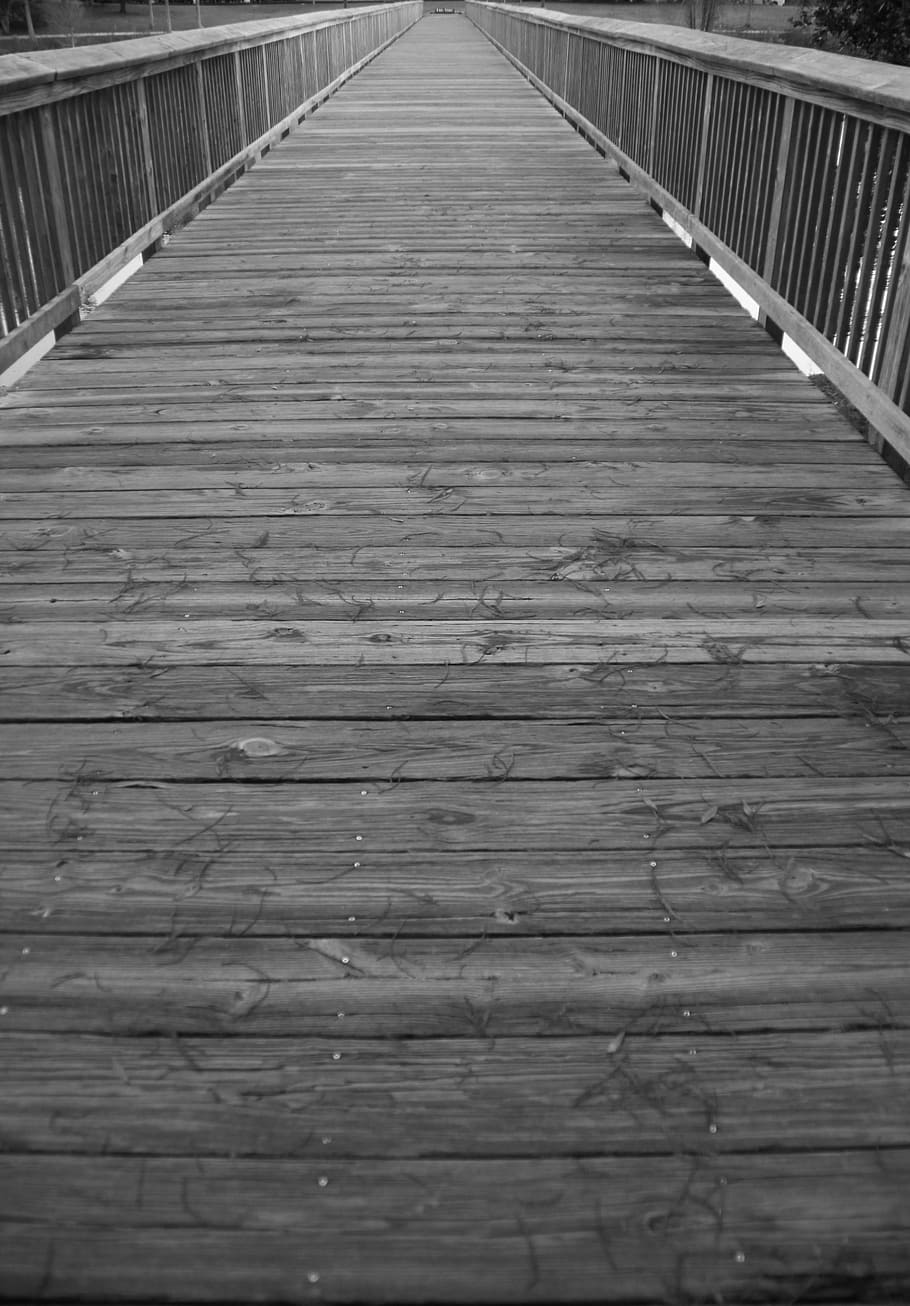 bridge, wooden bridge, walkway, long walk, wooden walk way, nobody, endless, eternity, bridge - Man Made Structure, footpath