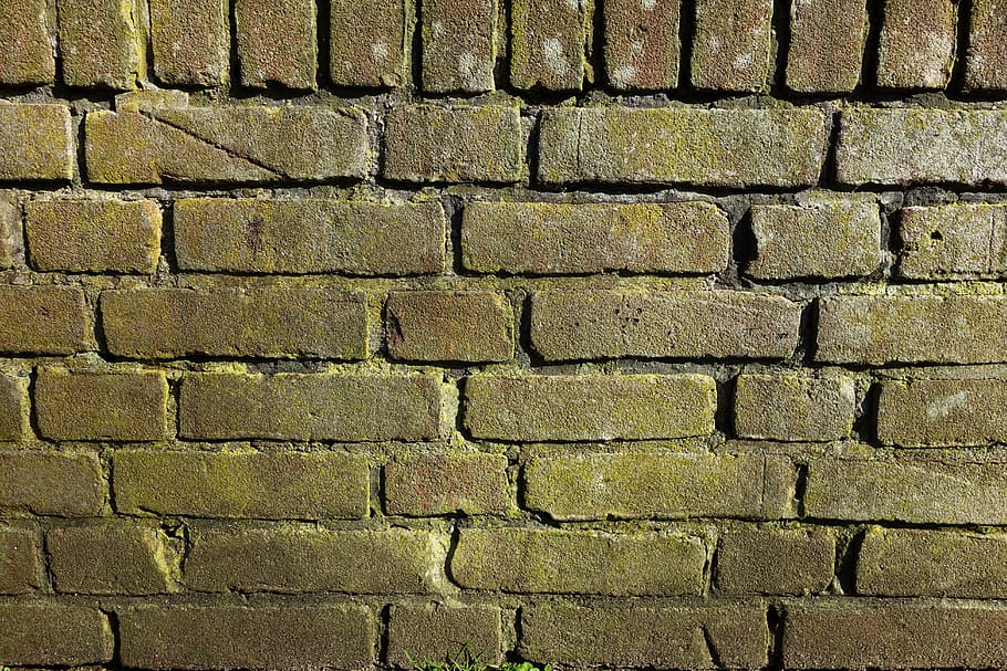 brick wall, mold, moldy brick wall, green brick, brickwork, seam, mortar, cement, brick texture, brick backdrop