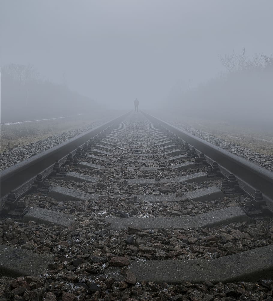 fog, railway, december, rails, nature, landscape, trees, direction, rail transportation, railroad track