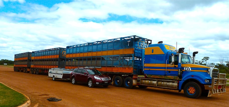 road train, truck, transportation, comparison, big, large, aussie, australian, land vehicle, mode of transportation