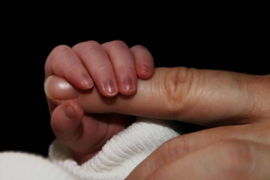 bebê, mão, dedo, recém-nascido, manter, criança pequena, proteção, parte do corpo humano, mão humana, parte do corpo