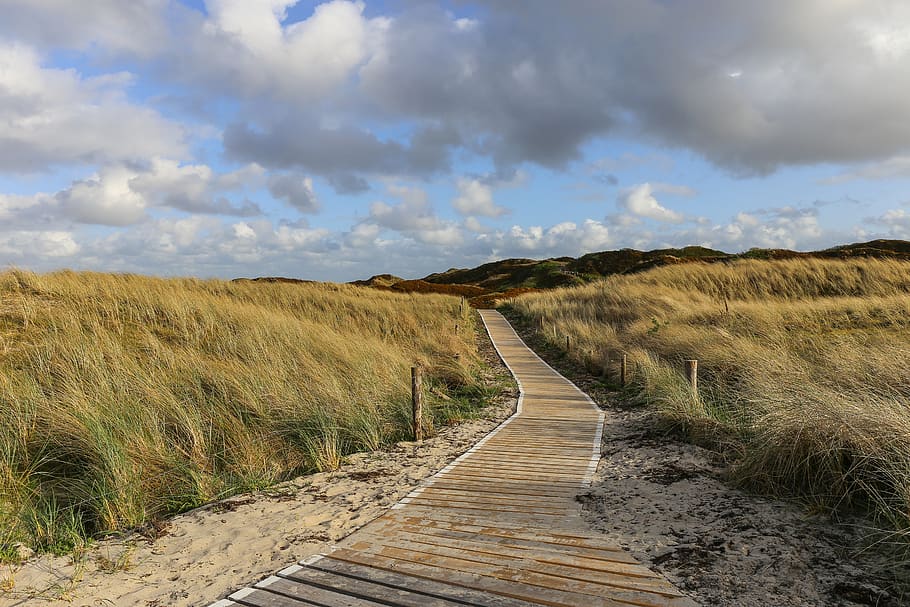 germany, north sea, langeoog, landscape, sky, nature, summer, east frisia, dunes, dünenweg
