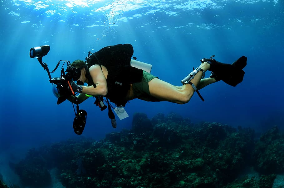 pessoa, filmagem, embaixo da agua, foto, dia, fotógrafo subaquático, militar, natação, mergulho, equipamento
