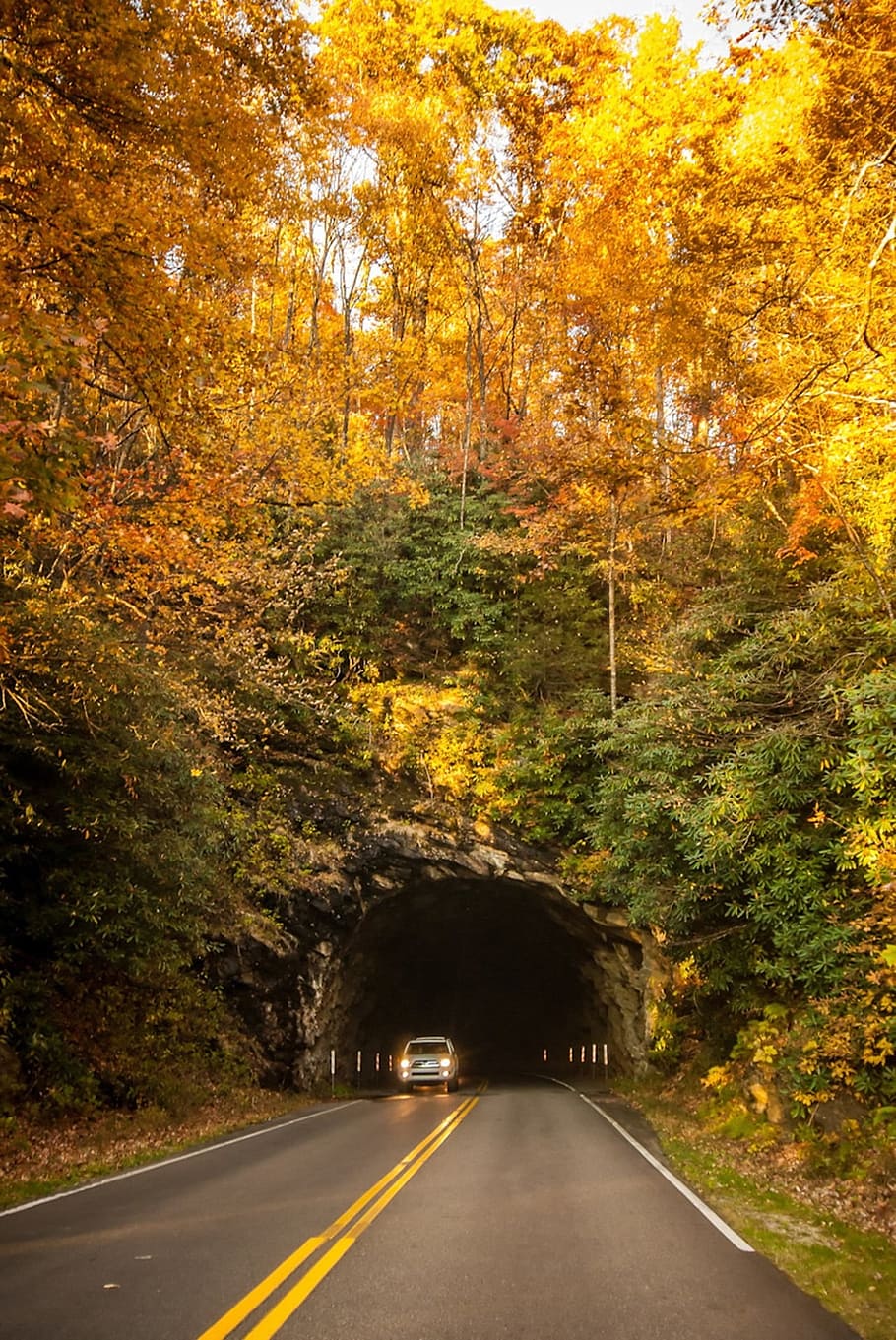 car, inside, tunnel, daytime, mountain, fall, autumn, nature, blue, ridge