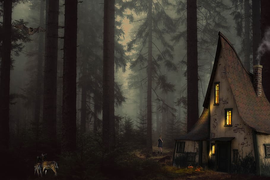 fantasy, forest, girl, deer, house, light, tree, scenic, mystical, environment