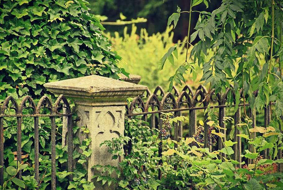 black, metal gate, surrounded, green, leaf plant, cemetery, tomb, stone base, grave, fence