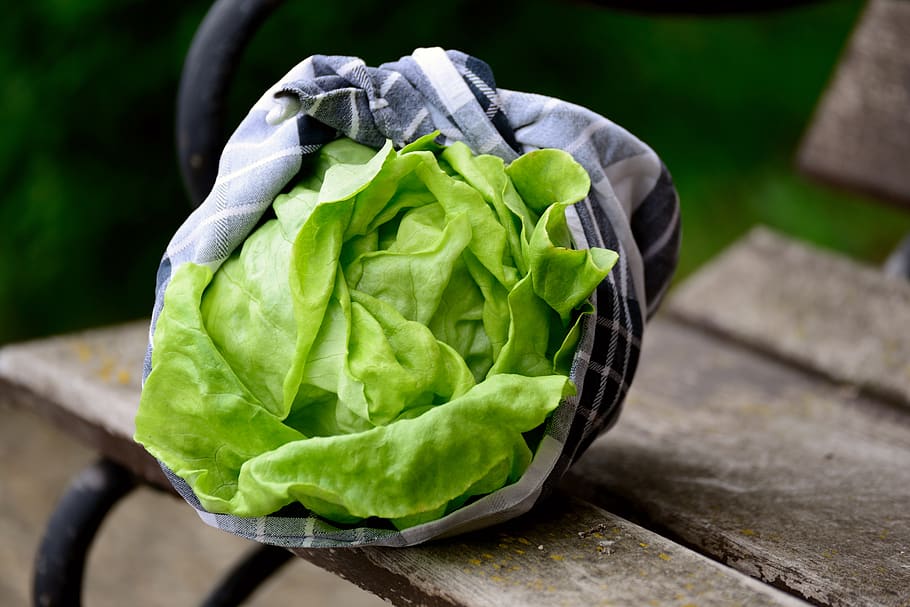 salad, green salad, head of lettuce, green, fresh, healthy, eat, bio, diet, nutrition