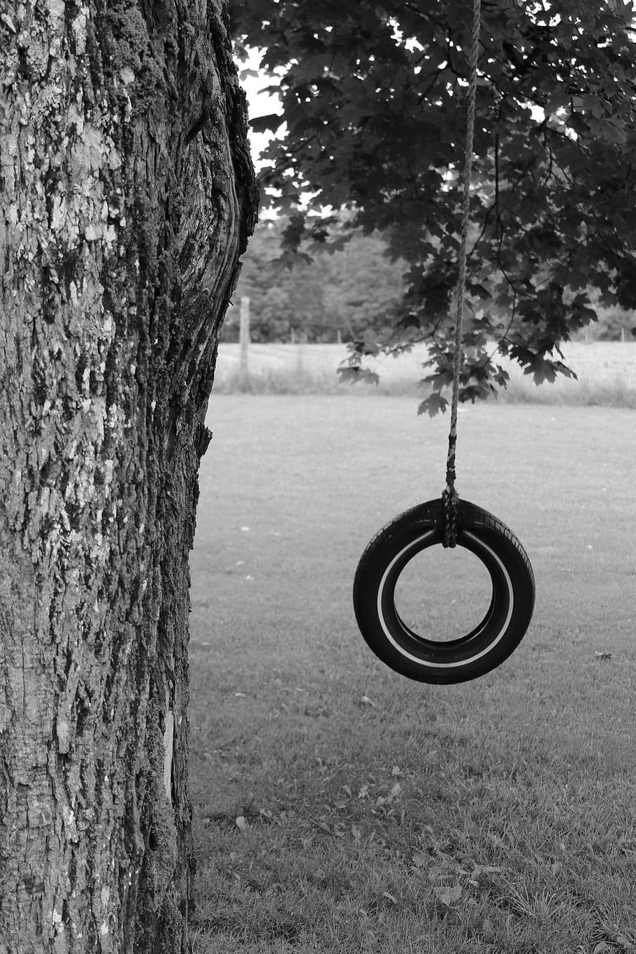 tire, tire swing, swing, tree, pasture, childhood, summer, spring, play, girl