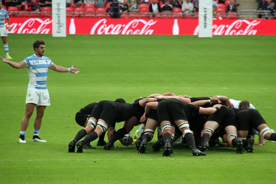 rugby, players, world, cup, stadium, sport, wembley, championship, group of people, grass