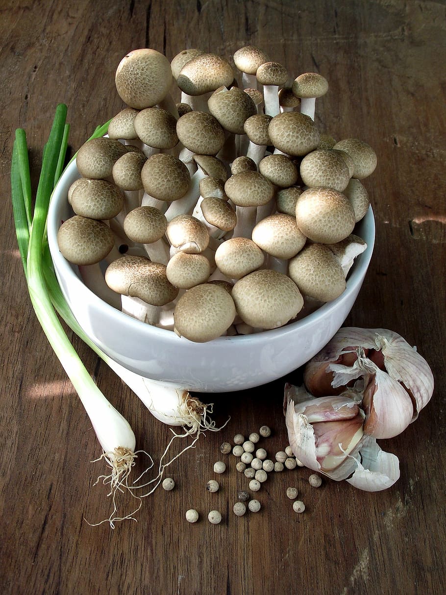 mushroom, spring onion, garlic, pepper, food, raw materials, raw, nature, cook, foodstuff