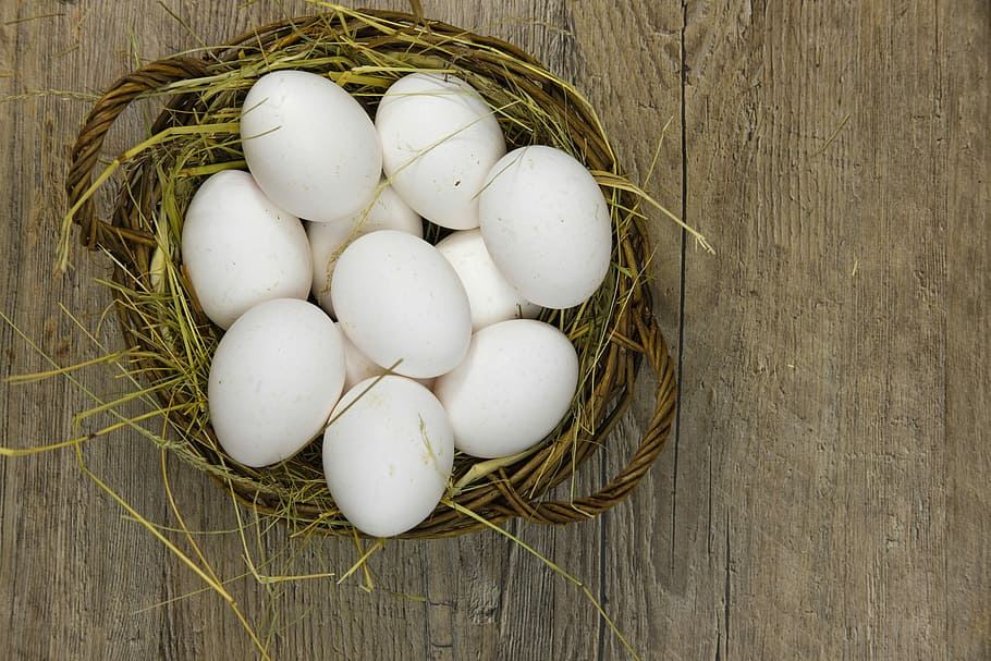 blanco, huevos, nido, huevo, contestar preguntas por día, canasta, comida, nutrición, comer, comida y bebida