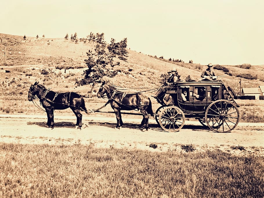 brown, carriage, horse, stagecoach, horse cart, western, vintage, transportation, historic, coach