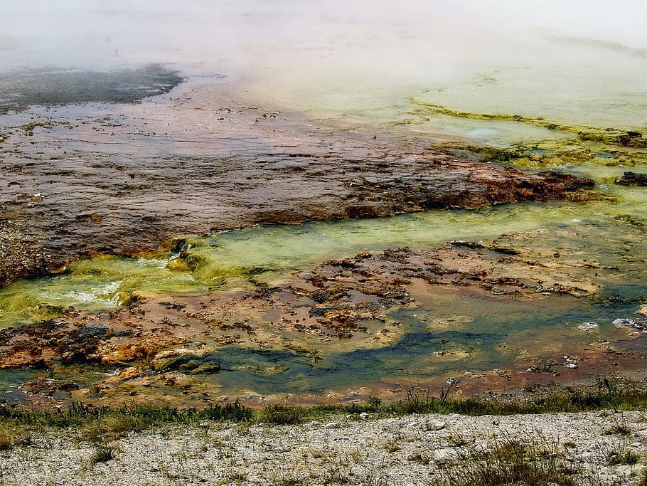 yellowstone national park, wyoming, usa, minerals, water, colorful, microorganism, volcanic, landscape, nature