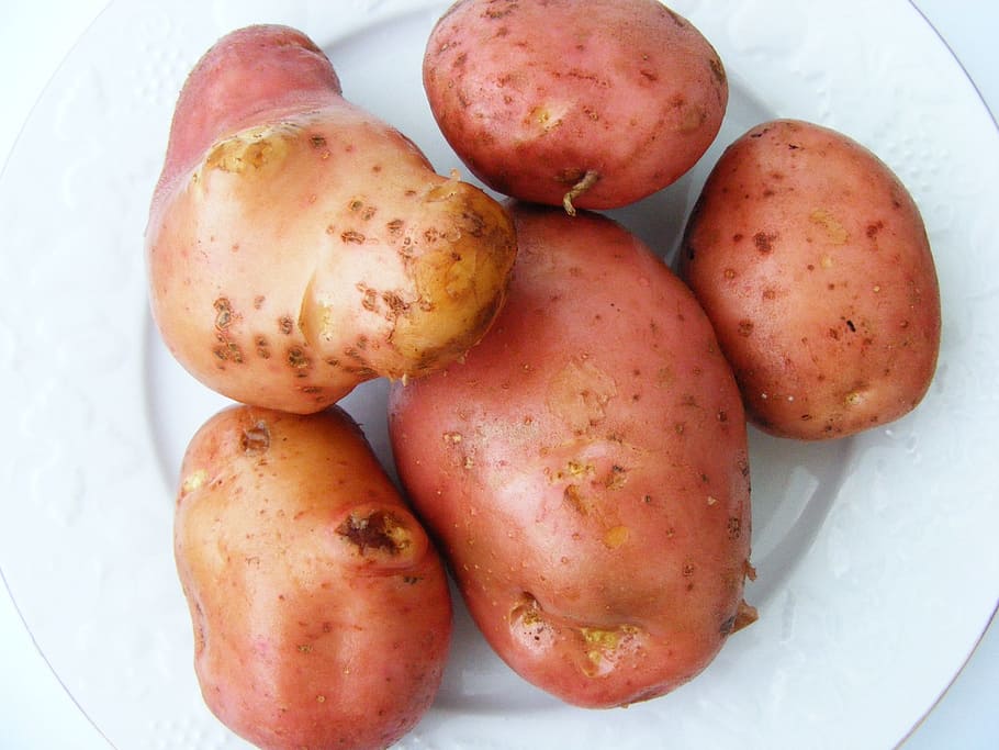 Potatoes, Nature, Vegetable, Fresh, organic, healthy, natural, vegetarian, agriculture, market