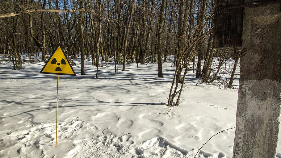 radioactive, sign, radiation, snow, exclusion zone, winter, nature, landscape, white, cold