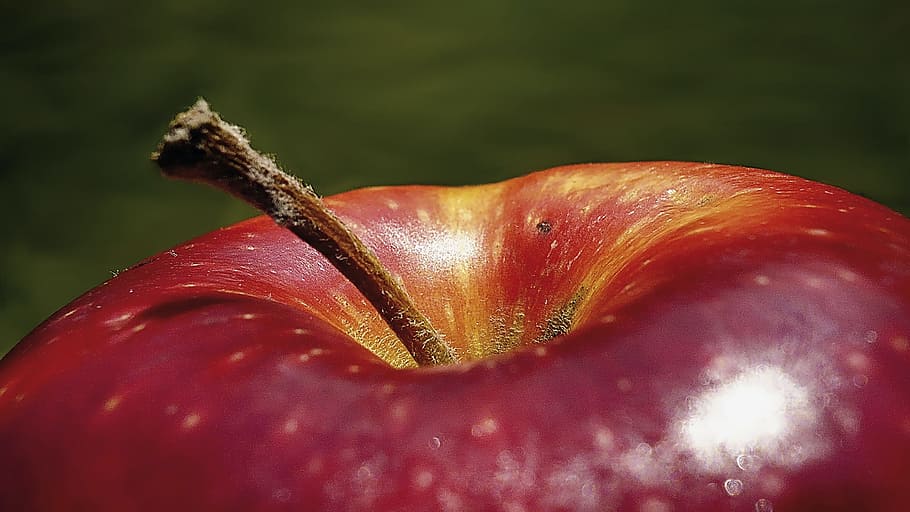 Apple, Frutas, Comida, vermelho, delicioso, colheita inesperada, final do verão, doce, saudável, frescura