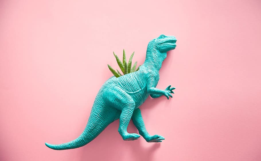 estatuilla de plástico verde azulado t-rex, verde azulado, plástico, T-rex, estatuilla, dinosaurio, cactus, suculenta, reptil, animal