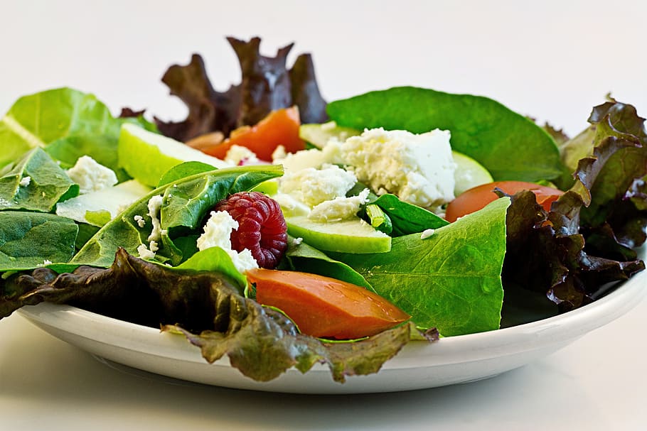vegetable salad, white, ceramic, plate, salad, fresh, food, diet, health, dieting