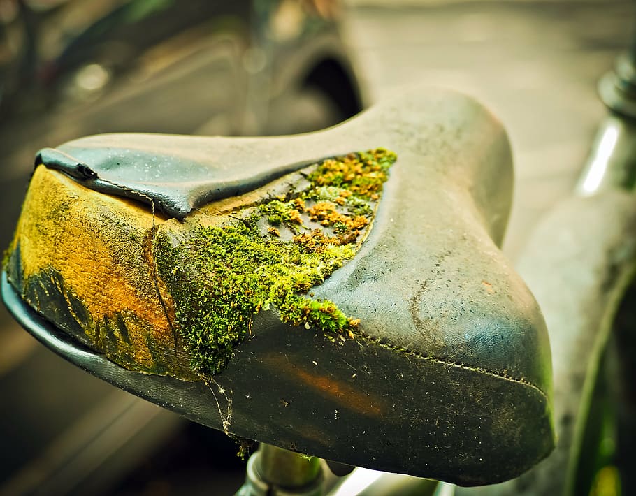 close-up photo, bicycle seat, covered, moss, bike, saddle, wheel, bicycle saddle, cycling, means of transport
