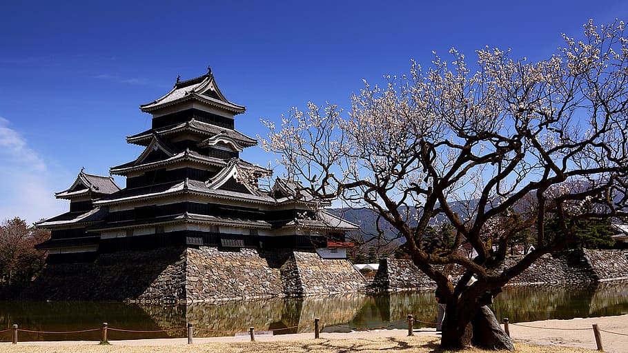 Matsumoto, castillo, Nagano, Japón, japonés, hito, historia, arquitectura, negro, fuerte