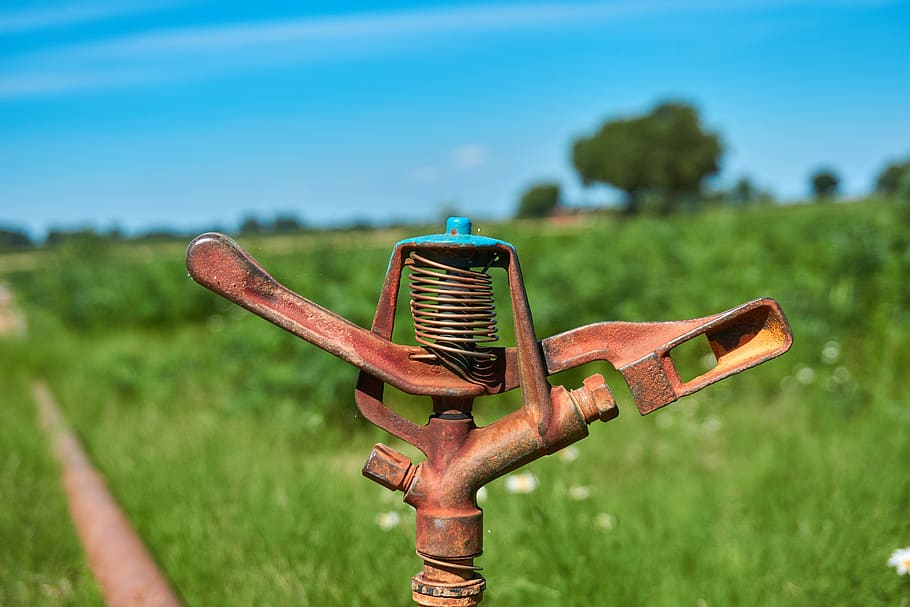 irrigation, agriculture, water, sprinkler, blow up, drought, sky, blue, cultivation, blue sky