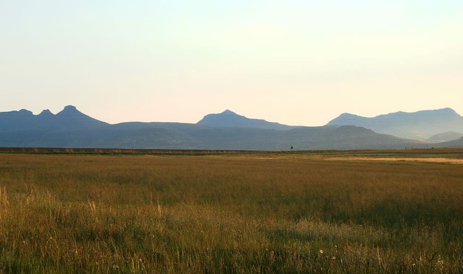 Veld, Grass, Landscape, Sky, far off mountains, field, vast stretch, nature, mountain, tranquility
