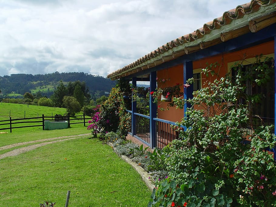house, campestre, tabio, cundinamarca, colombia, plant, sky, architecture, cloud - sky, built structure
