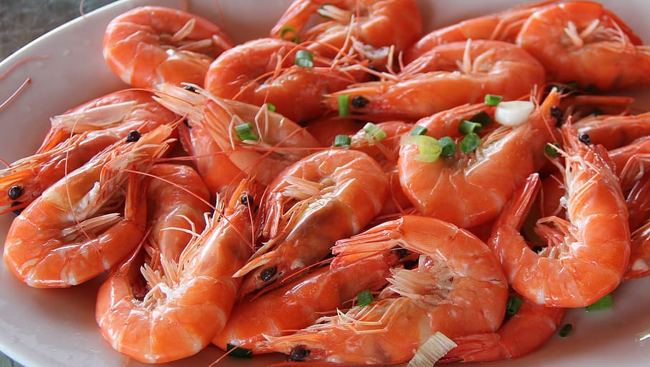 Gourmet, Prawns, Red Scare, seafood, food and drink, food, healthy eating, freshness, prawn, wellbeing