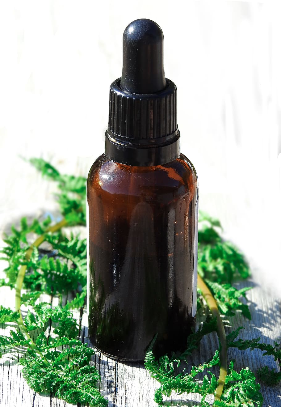 brown, black, labeled, bottle, green, leaves, green leaves, essential oils, glass, essential oil