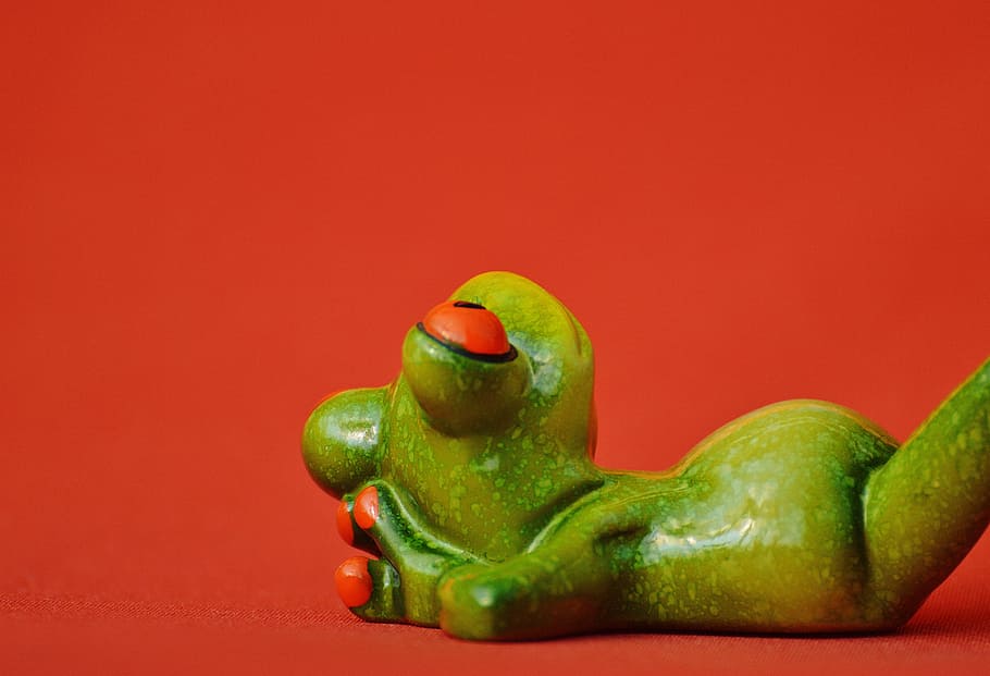frog, lying, relaxed, cute, rest, figure, funny, relaxation, sweet, animal