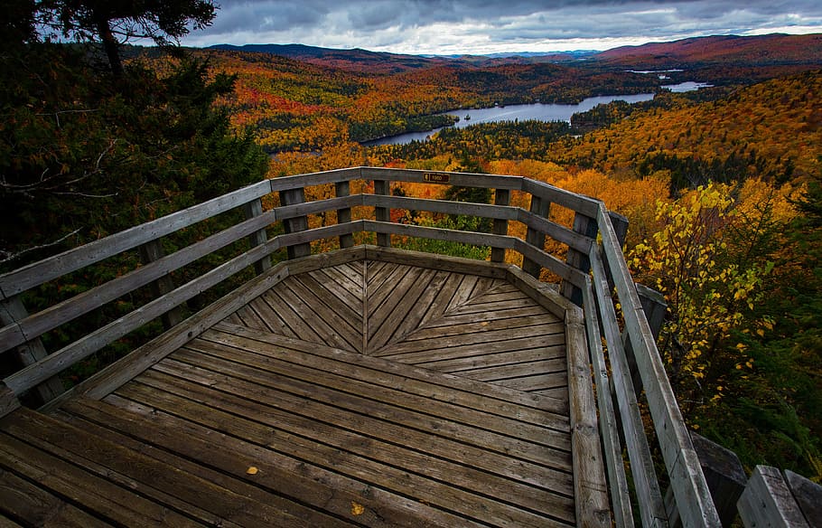 fall, landscape, nature, québec, canada, trees, sky, lake, autumn, tree