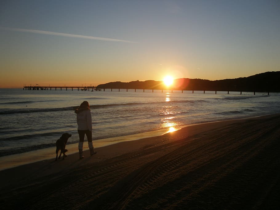 sunrise, baltic sea, sea, walk, dog, beach, coast, water, rügen, sunset