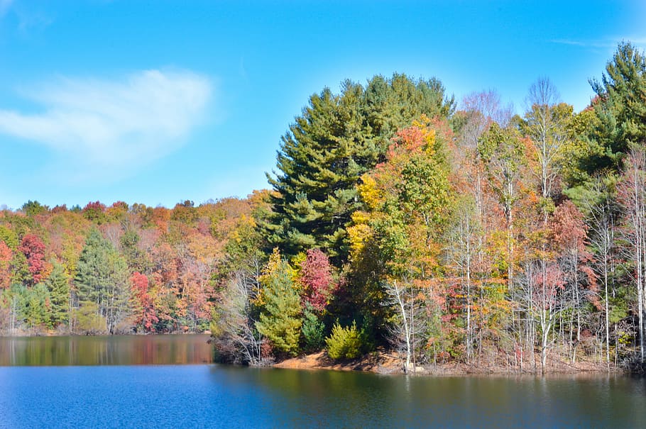 Lake, Autumn, Fall, Fall Foliage, fall, autumn, landscape, nature, scene, mountain, fall background