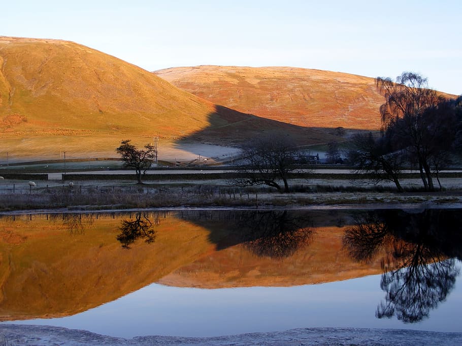 bare, trees, calm, body, water, day, landscape, waterscape, hills, reflections