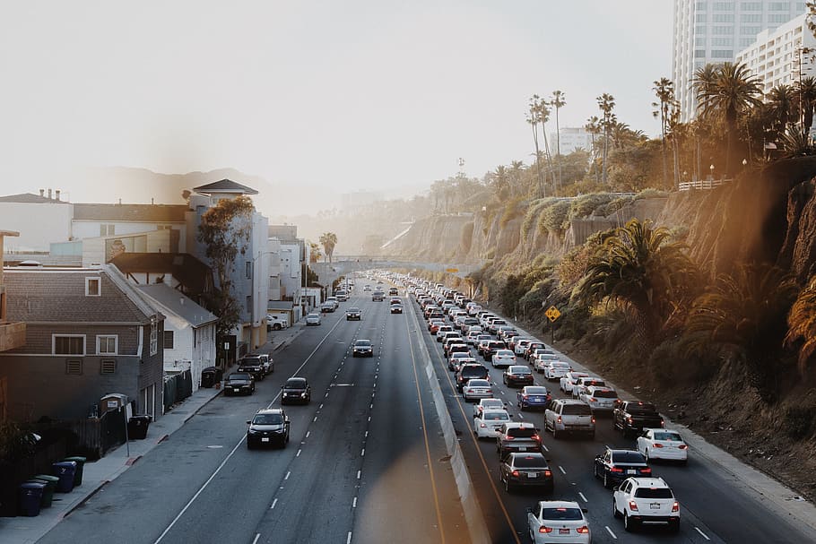 highway, traffic, sunlight, coastal, road, cars, lens, flare, busy, palm