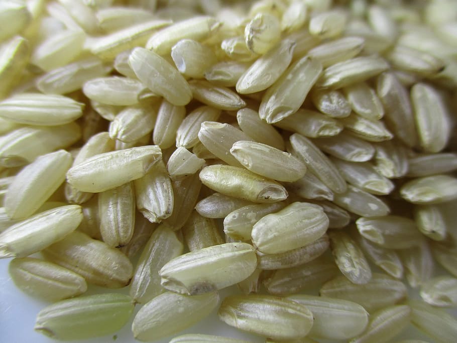 closeup, rice grains, rice, risotto, brown rice, carnaroli rice, food and drink, food, healthy eating, full frame