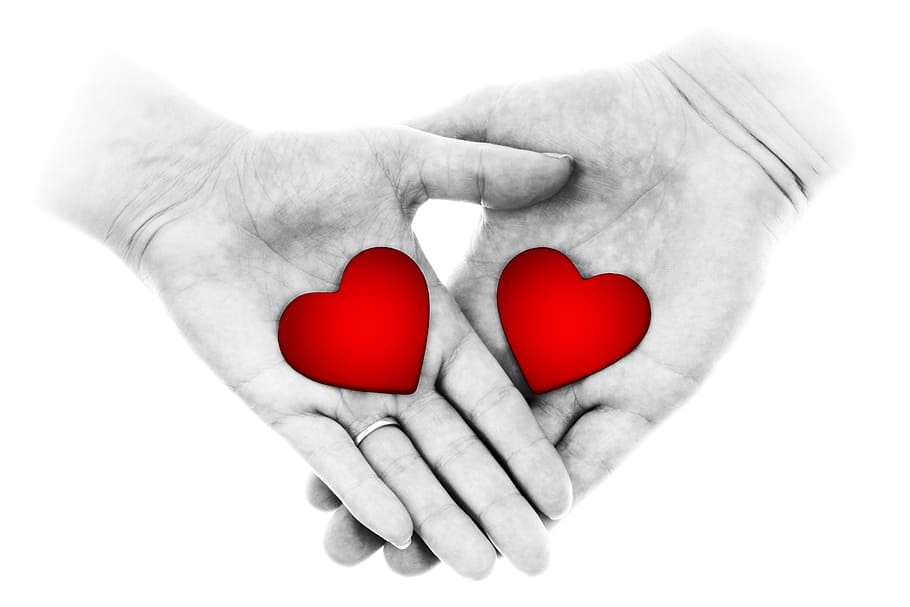 orang, tangan, memegang, hati, dua tangan, peduli, perasaan, wanita, pasangan, memberi