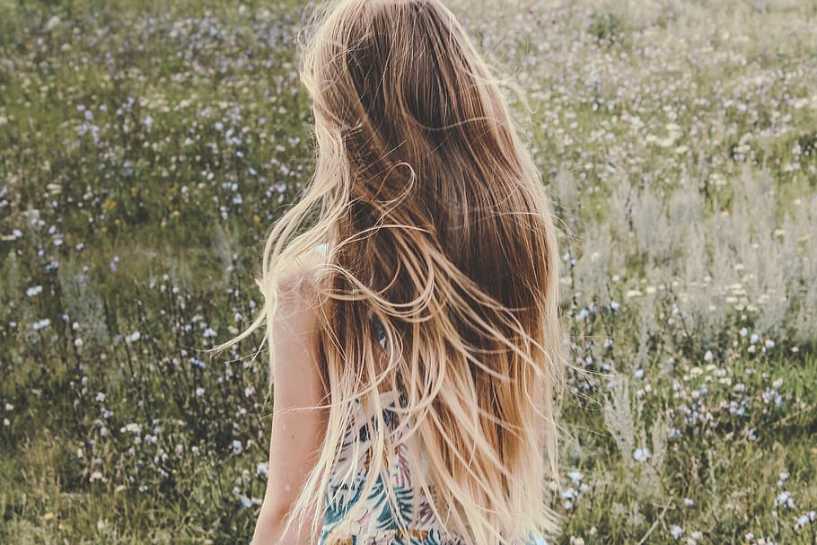 girl, hair, beautiful, long hair, hairstyle, one person, rear view, blond  hair, women, day | Pxfuel