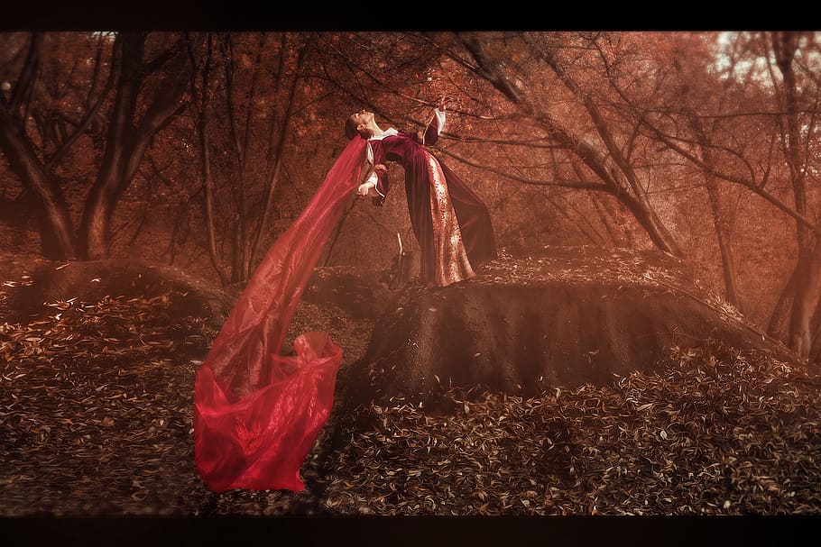 woman, black, red, long-sleeved, gown, standing, gray, rock, forest trees, daytime