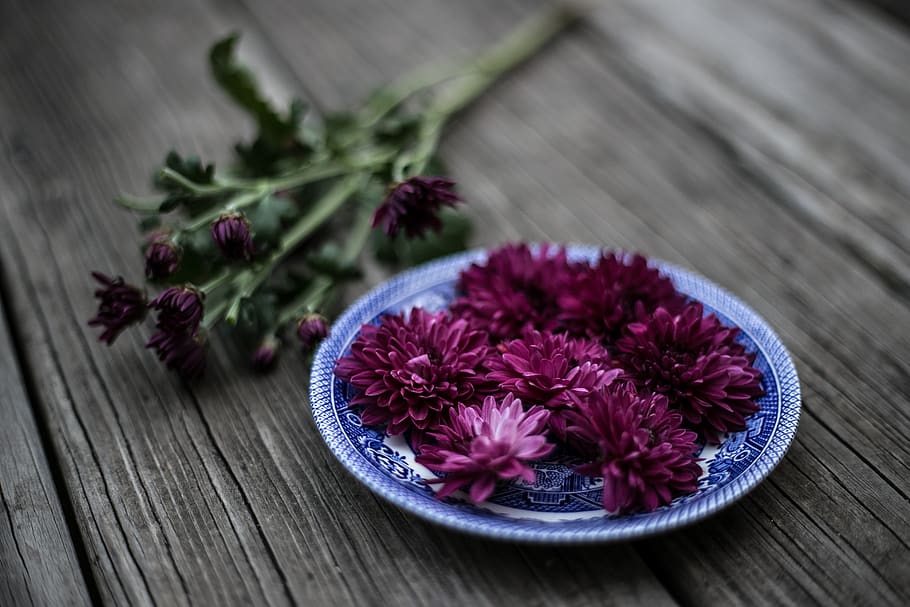 purple, violet, color, petal, flower, green, leaf, plate, wooden, table