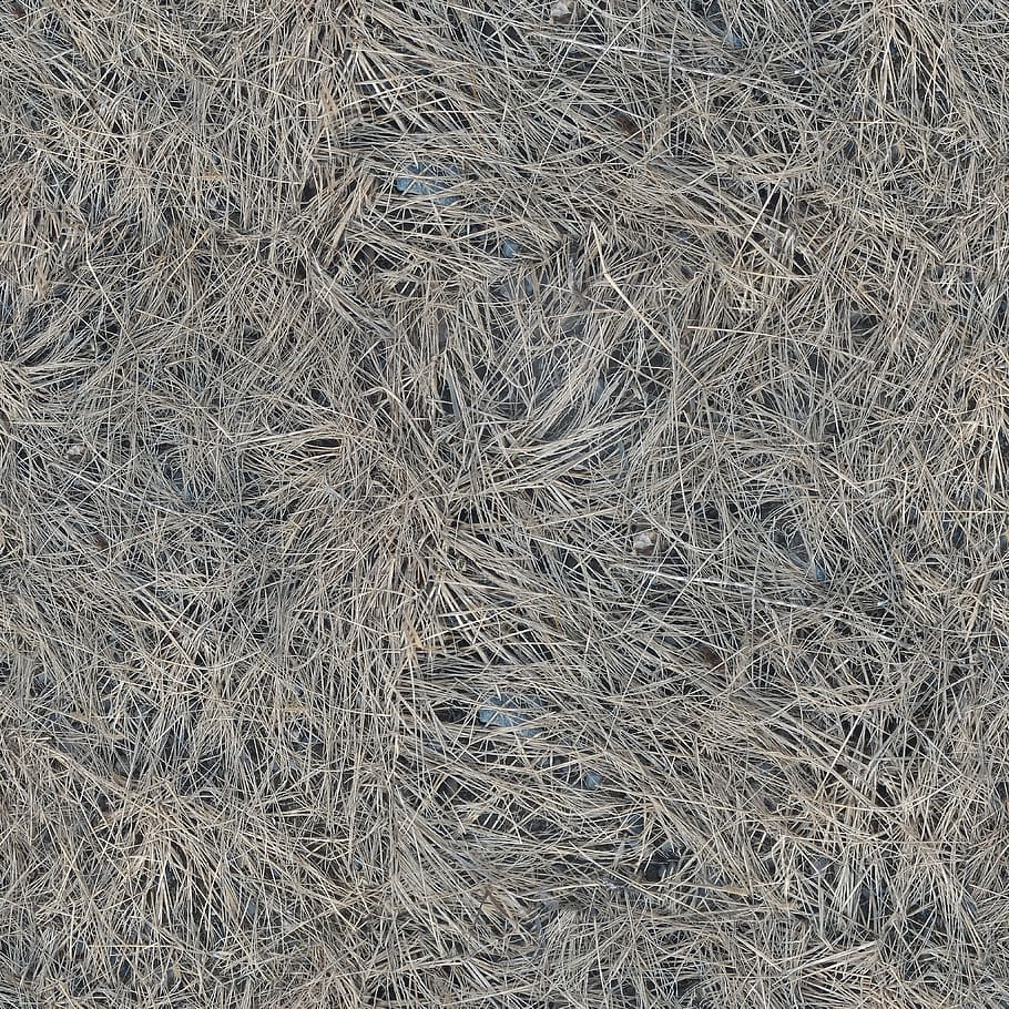 Texture, Seamless, tileable, seamless pattern, dry, grass, dead, plant, backgrounds, full frame