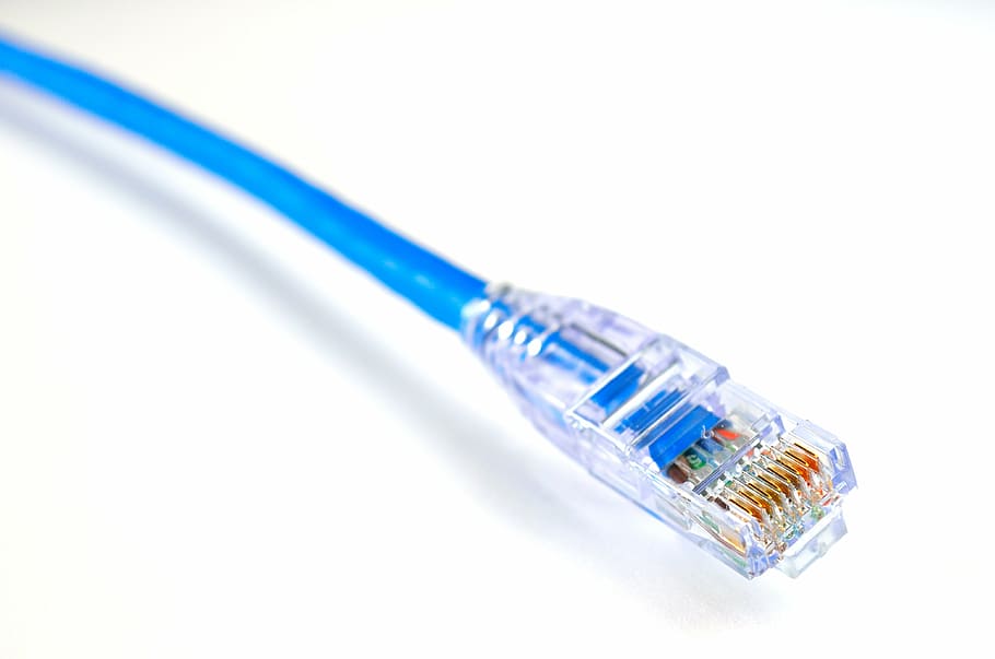 blue, rj 45 cable, ethernet, data, internet, network, computer, connection, technology, communication