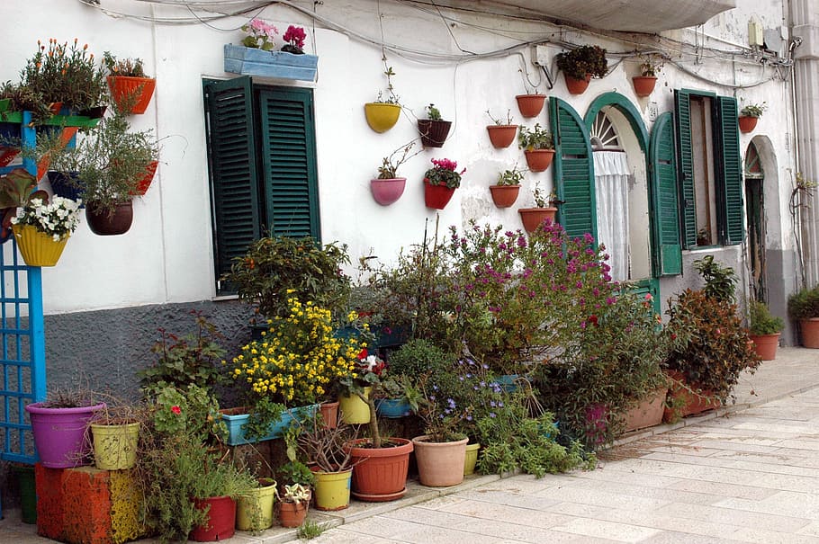 House, Coast, Garden, Plants, Italy, garden, plants, peace, colored, flower, flower Pot